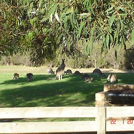Mountain View Motor Inn & Holiday Lodges Halls Gap Exterior foto