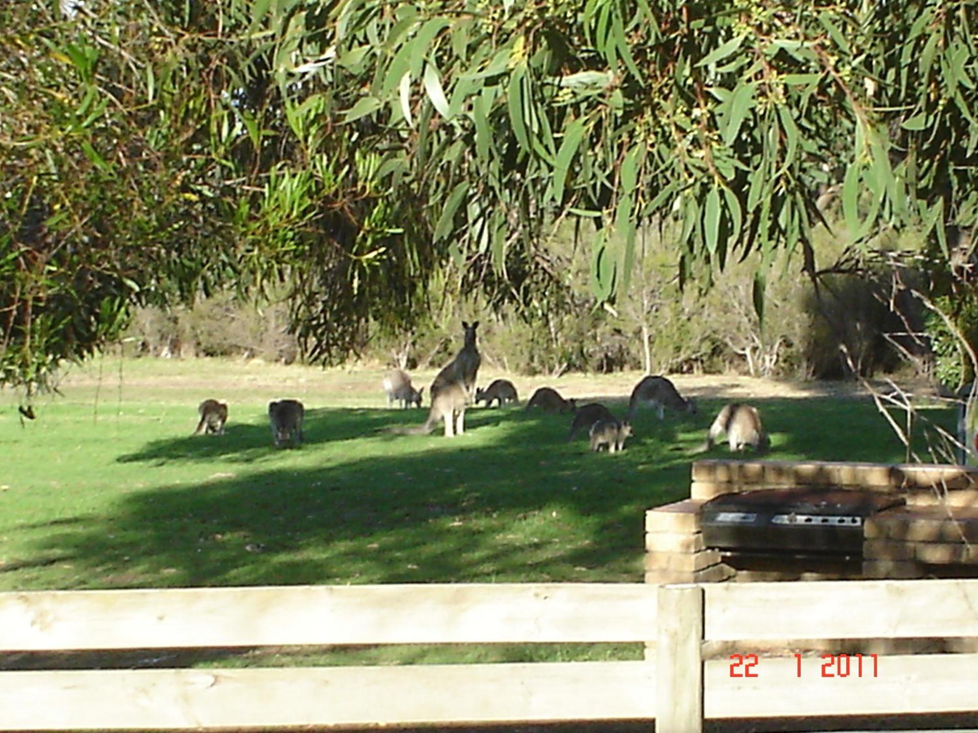Mountain View Motor Inn & Holiday Lodges Halls Gap Exterior foto